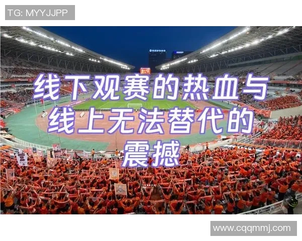 04年鲁能与武汉的巅峰对决回顾：激情四溢的足球盛宴与历史瞬间