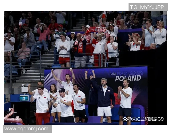 瑞士与波兰比赛主裁判的执法表现分析与影响探讨