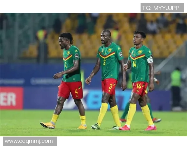 辽宁对阵喀麦隆精彩视频直播全程回顾与赛后分析