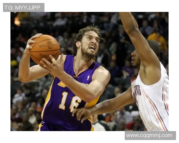 湖人对阵山猫精彩全场录像回放及赛后分析分享