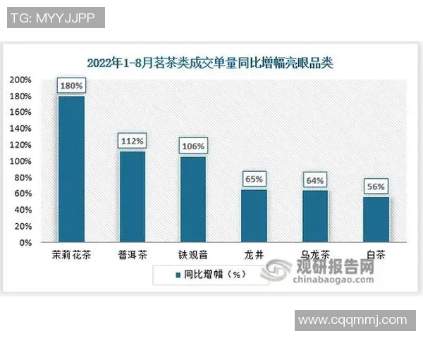 南京篮球队节奏表现深度数据分析与战术探讨