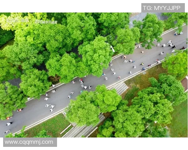 武汉足球队团队协作的变革之路与未来发展展望