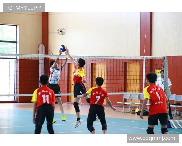 重庆排球队防守反击策略分析及其在比赛中的成效与不足